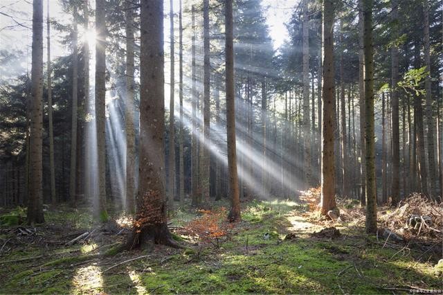 什么是負(fù)折射率？何為負(fù)折射率？