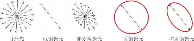 什么是偏振光？偏振光是如何完成檢測(cè)的？