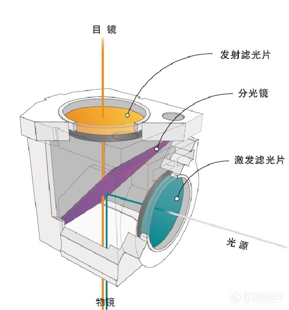 熒光顯微鏡常規(guī)光學(xué)元件應(yīng)用圖