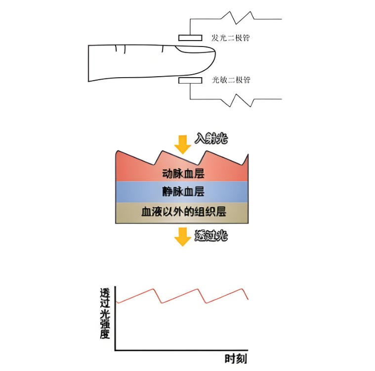脈搏血氧儀簡(jiǎn)介與光學(xué)原理<