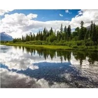 電磁波、紫外線和紅外線